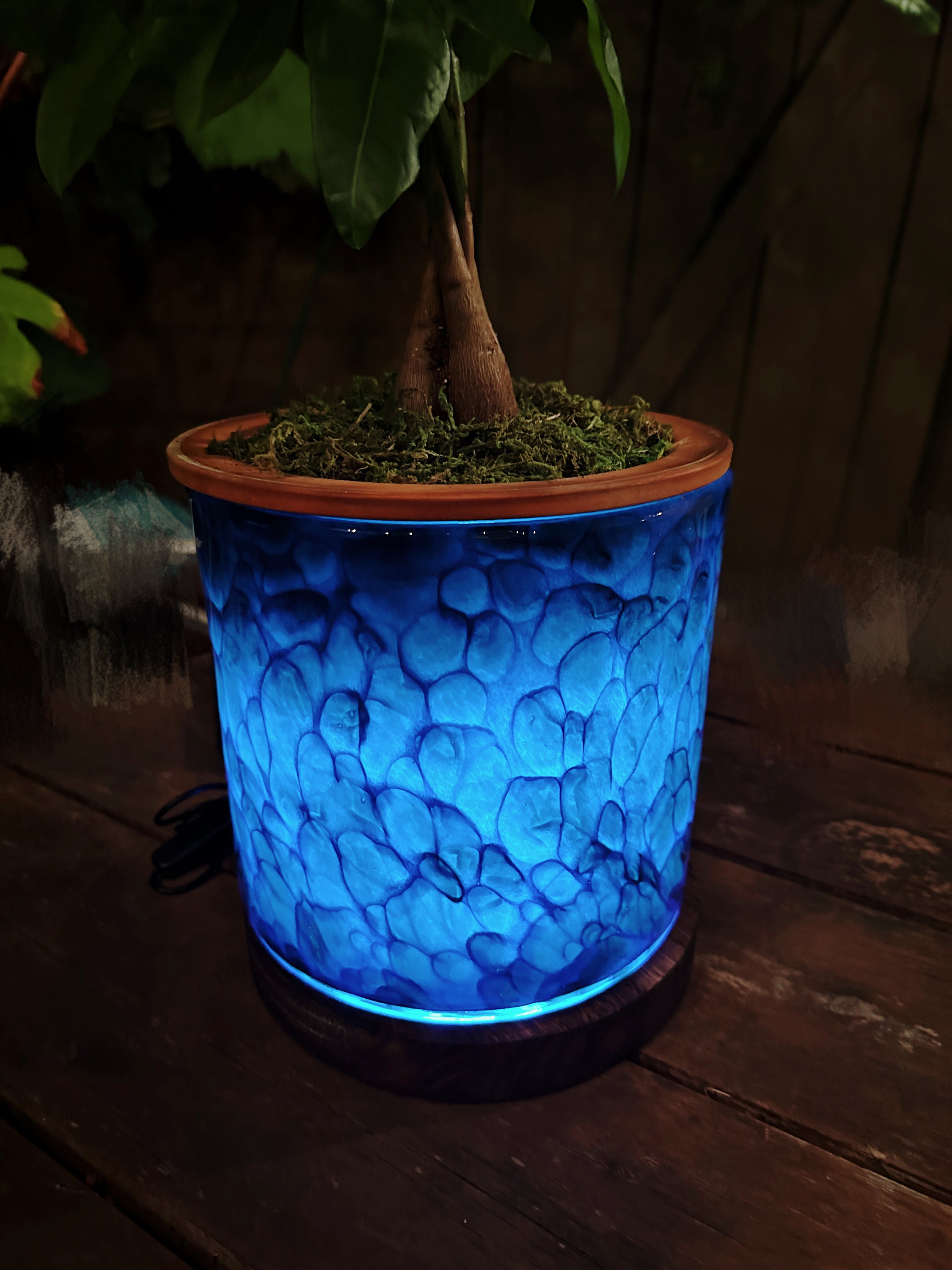 Aazon.co : NODIPNS 4 Pack Terracotta Self Watering Planter Insert