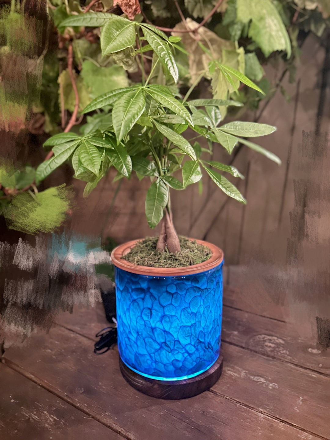 Vaso Per Interni Ed Esterni Vaso Da Fiori Autoirrigante Dexceder 20x20
