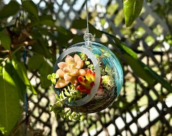 3&quot; Art Glass Hanging Terrarium with optional air plants