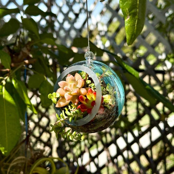 3" Art Glass Hanging Terrarium with optional air plants