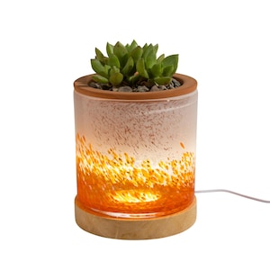 4.5" Art Glass Self Watering Planter with LED wood base
