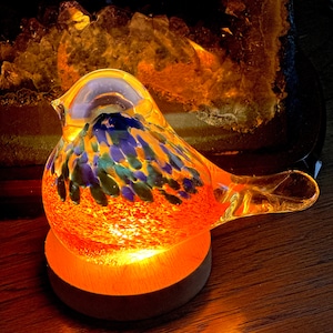 May include: A glass bird figurine with a light inside, the bird is orange, blue, and green with a wood base.