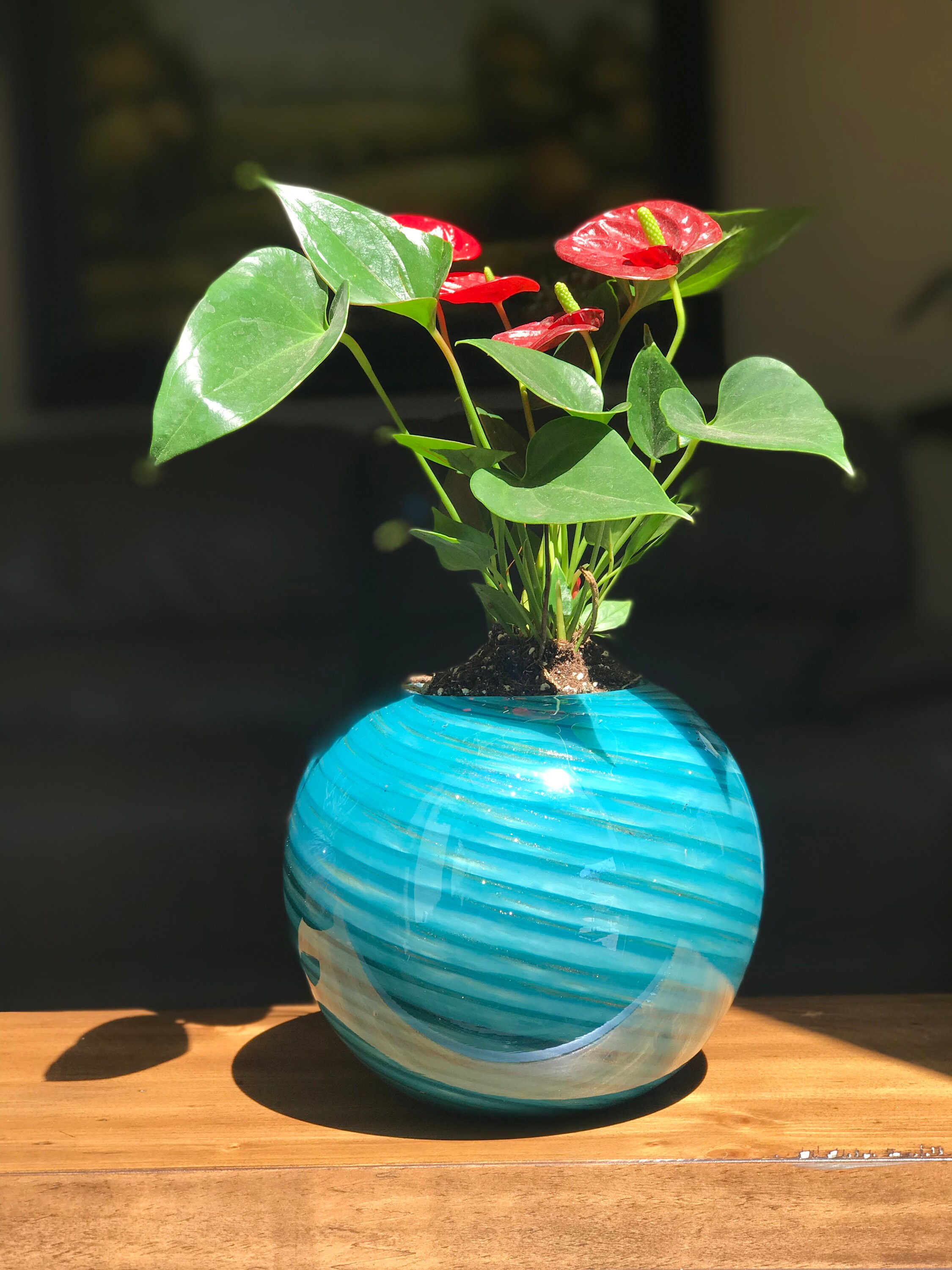 Free US Shipping 7 5 Artistic Planter Handblown Art Glass free us shipping75 artistic planter
