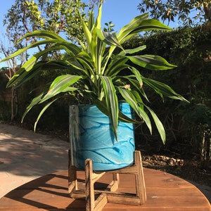 May include: A green plant with white stripes in a blue and white glazed ceramic pot on a wooden plant stand.