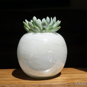 May include: A round, white ceramic planter with a marbled design, holding a light green succulent plant. The planter sits on a wooden surface against a dark background, showcasing a minimalist aesthetic.