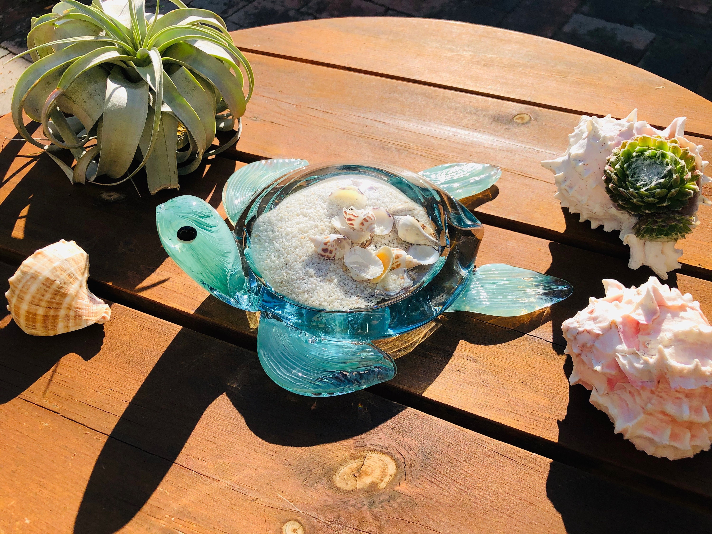 10 Handblown art glass Sea Turtle Decor with natural sea shell and sand