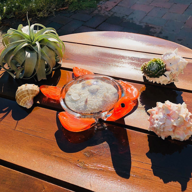 Turtle Art Made of Shells - Etsy