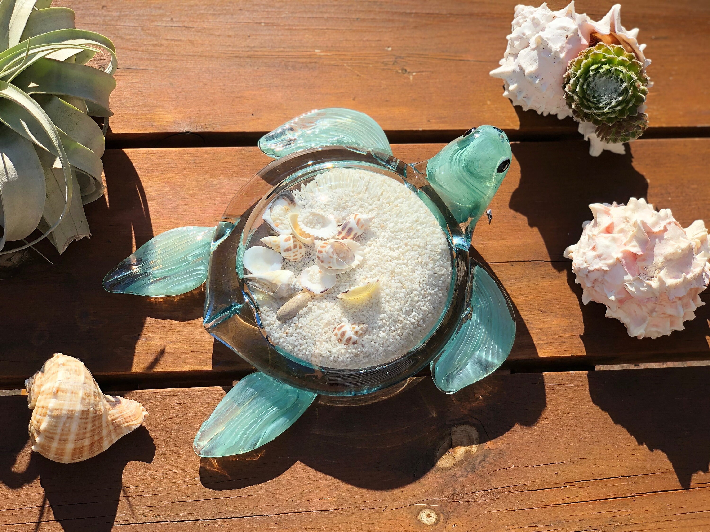 10 Handblown art glass Sea Turtle Decor with natural sea shell and sand