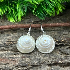 Puede incluir: Un par de pendientes de concha blanca con un diseño en espiral y ganchos plateados. Los pendientes son redondos y tienen un brillo nacarado. El fondo presenta una superficie de madera y follaje verde.