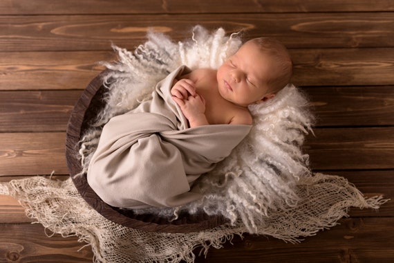 horseshoe shaped pillow baby