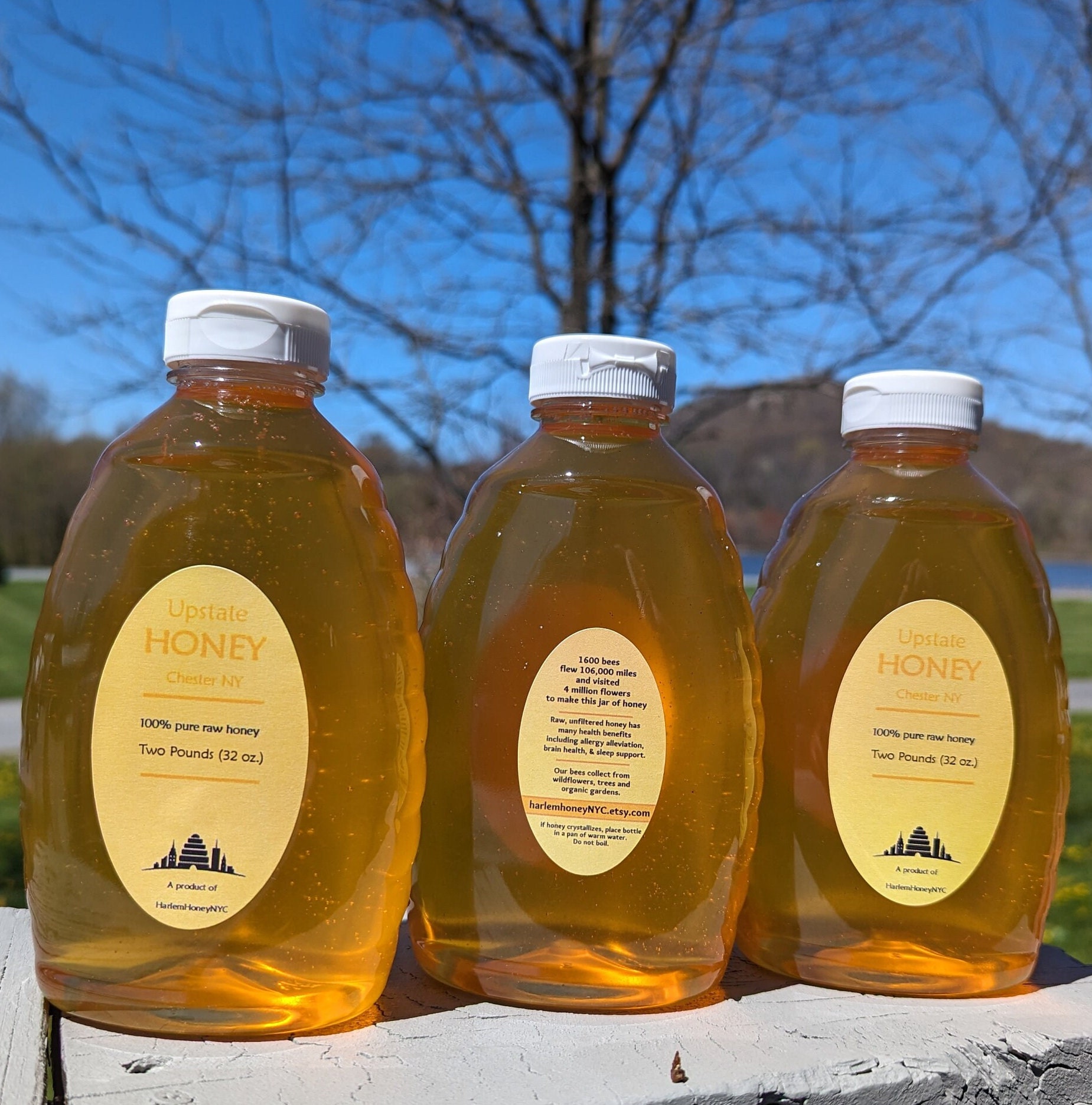 NY State Honey - 2 Lb Chester NY (Orange County) Raw