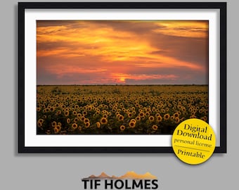 Sunflower Sunset | sun sets over sunflower field wall art (digital download - JPG)