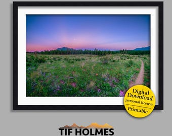Burn Area Wildflowers | mountain landscape wall art (digital download - JPG)