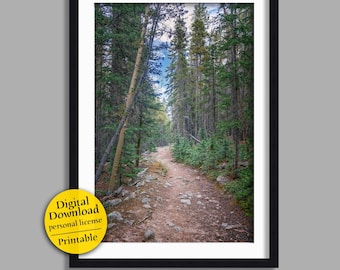 Forest Path | trail through the woods wall art (digital download - JPG)