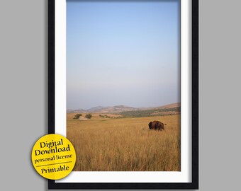 Midwest Bison | Wichita Mountain buffalo wall art (digital download - JPG)