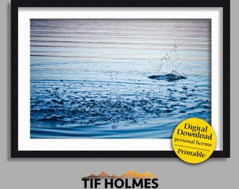 Ripples in Water | peaceful pond ripples wall art (digital download - JPG)