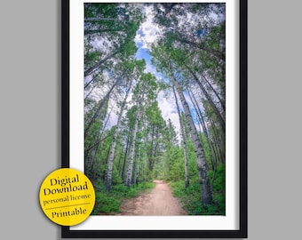 Forest Corridor | woodland path wall art (digital download - JPG)