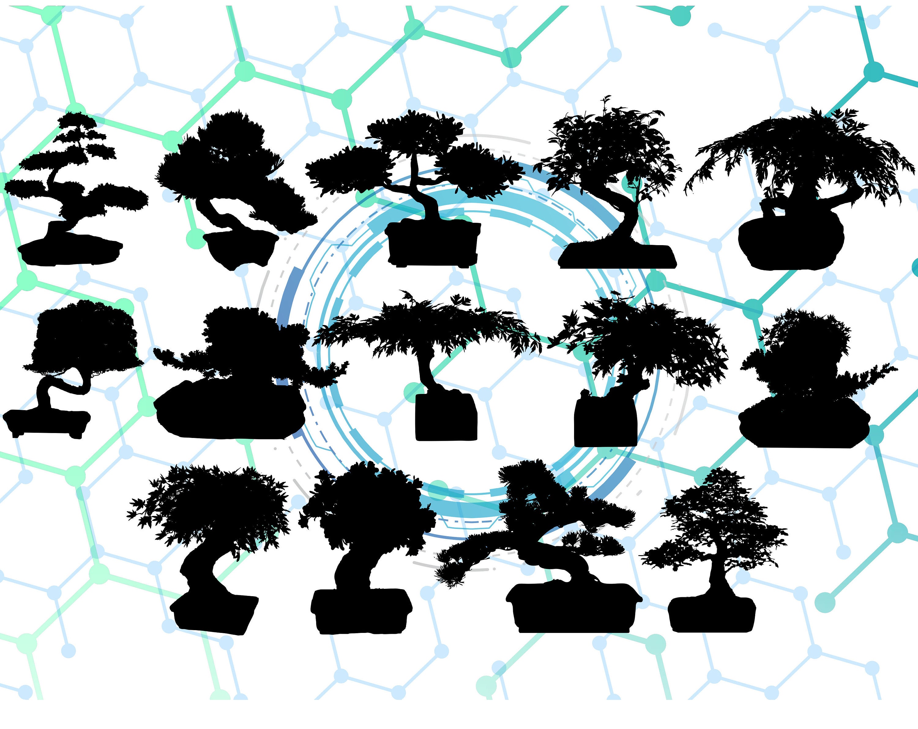 Bonsai trees svg/Trees svgpngdxf/Bonsai trees clipart for Etsy