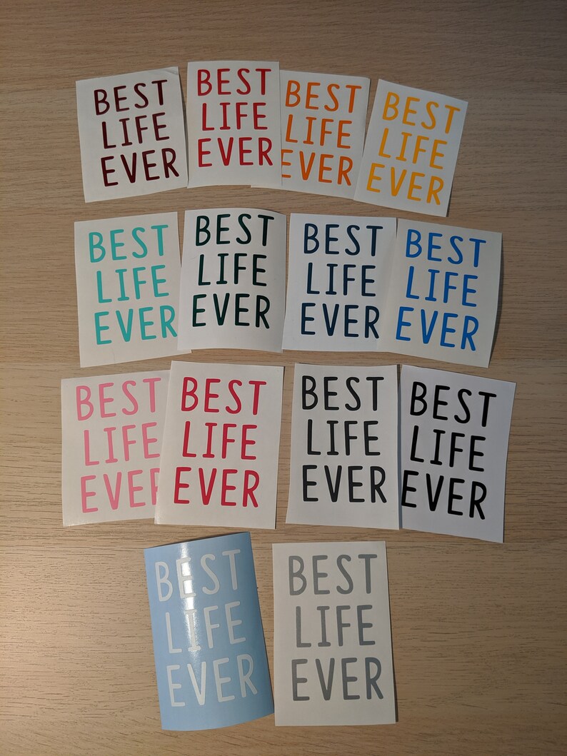 Best Life Ever Vinyl Decal Etsy