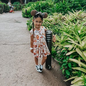 Lion King Short Sleeved Dress| Disney Dress| Animal Kingdom Outfit| Mickey Dress| Disney Kids| Skater||Disney Animal Kingdom Park Dress