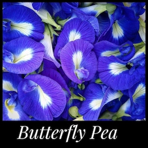 15 Blue Butterfly Pea Seeds, Butterfly Garden, edible flowers, Perennial, gardening seeds, permaculture, Clitoria ternatea, Darwin pea, vine