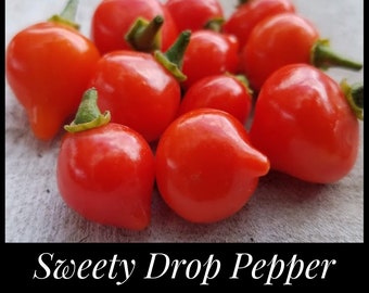 25 Sweety Drop Pepper Seeds, Heirloom Red Biquinho Seeds, Brazilian Pepper, Peruvian Pepper, Little Beak, Pearl Pepper, Capsicum chinense