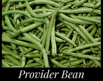 20 Provider Heirloom Bush Bean Seeds, Bush Snap Beans, Disease Resistant Beans, Seed The Stars, Florida Seeds, Phaseolus vulgaris, Heirloom