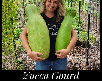 10 Giant Zucca Gourd Seeds, Zucca Melon Seeds, Largest Gourd in the World, Bottle Gourd Seeds, Lagenaria siceraria, Florida Seed The Stars