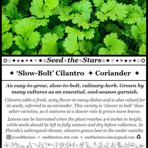 ✦ ‘Slow-Bolt’ Cilantro  ✦ Coriander  ✦

An easy-to-grow, slow-to-bolt, culinary-herb. Grown by many cultures as an essential, cool-season garnish. Cilantro adds a fresh, zesty flavor to many dishes and is also valued for its seeds - coriander.