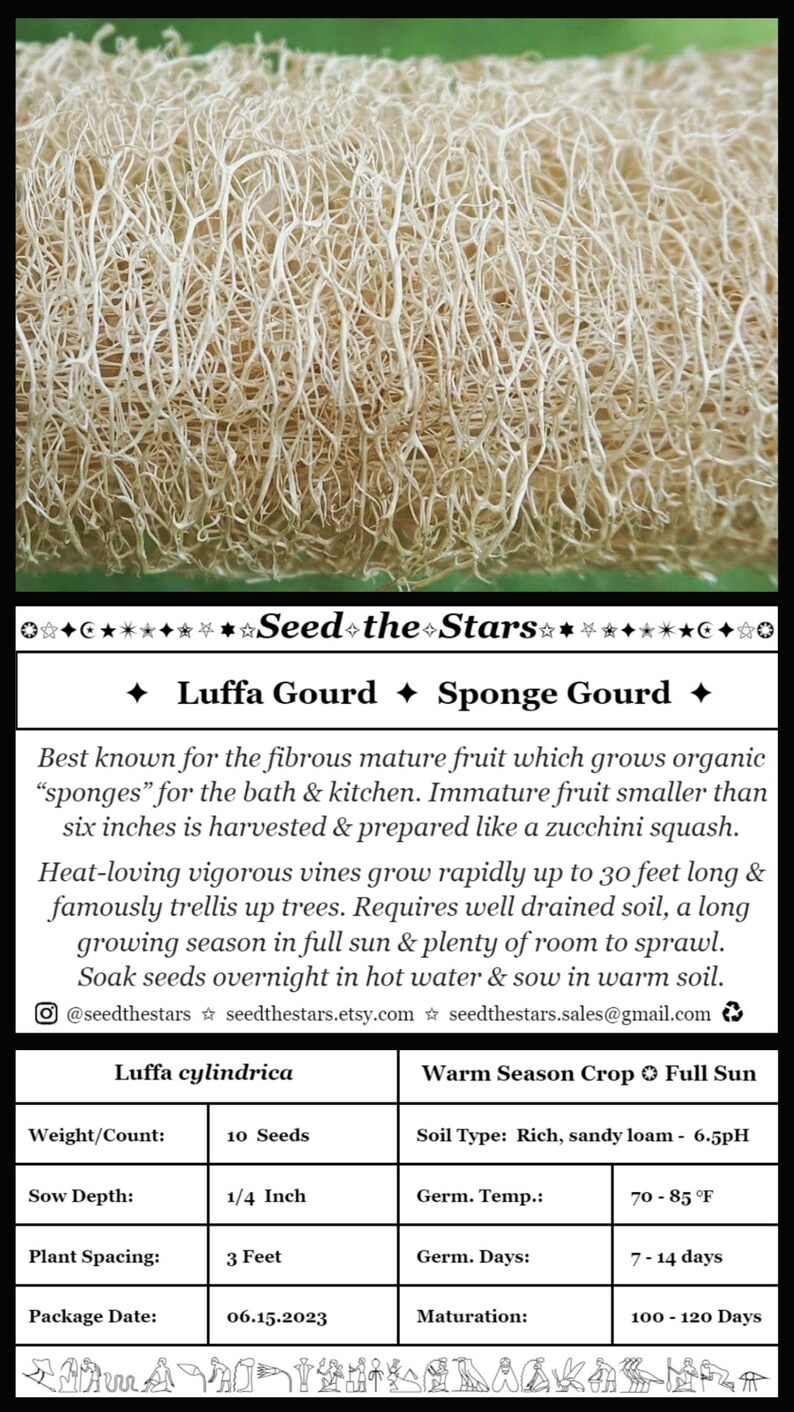 May include: A close-up of a dried luffa gourd, also known as a sponge gourd. The image includes text describing the plant's growing habits, care instructions, and seed information. The text includes the words "Seed the Stars", "Luffa Gourd", "Sponge Gourd", "Warm Season Crop", "Full Sun", "Rich, sandy loam", "10 Seeds", "1/4 Inch", "3 Feet", "70-85&deg;F", "7-14 days", "100-120 Days", and "06.15.2023".