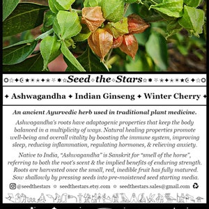 May include: A close-up of a green plant with small, red, and brown fruit. The text "Seed the Stars" is written in black with a white star above the word "Seed". The text "Naturally Grown + Locally Adapted" is written in black below the logo.