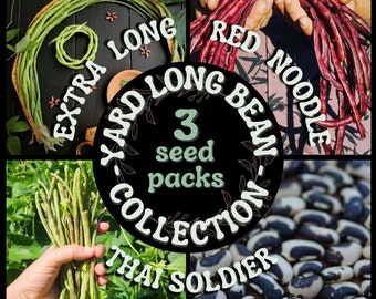 Yard Long Bean Collection 3 Pack - 15 Extra Long Guyana Long Beans, 15 Chinese Red Noodle Beans, 15 Thai Soldier Long Beans, Seed The Stars