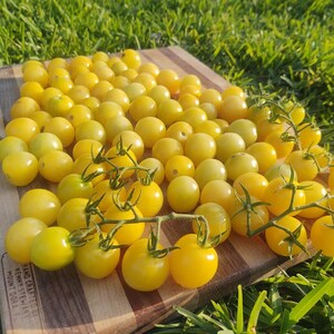 May include: A wooden cutting board with a pile of yellow cherry tomatoes. The tomatoes are arranged in a cluster and some are on small green stems.