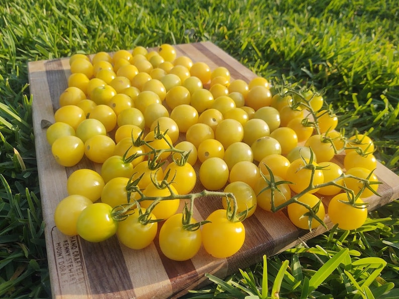 May include: A wooden cutting board with a pile of yellow cherry tomatoes. The tomatoes are arranged in a cluster and some are on small green stems.