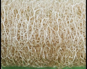15 Luffa Seeds, Loofah Gourd Seeds. Grow a natural sponge for the bath or kitchen. Luffa cylindrica Permaculture Seed The Stars, Luffa Gourd