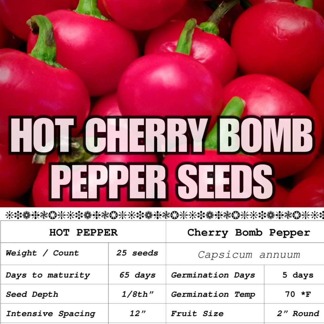 25 Hot Cherry Bomb Pepper Seeds. Fresh Organically grown Etsy