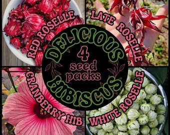 Edible Hibiscus 4 pack. Red Roselle Seeds , White Roselle Seeds, Late Thai Roselle Seeds, Cranberry Hibiscus Seeds, Florida Seed The Stars