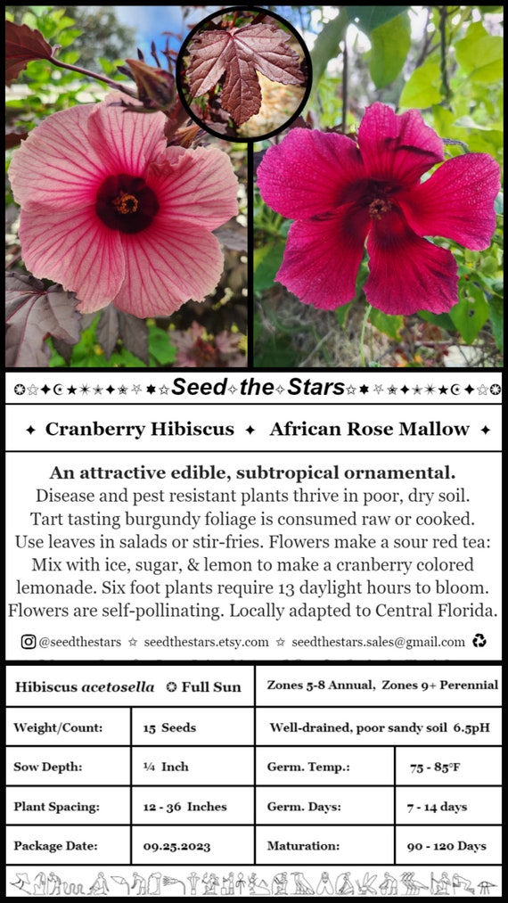 Rose Mallow Italian Bulk Hair Blend Rose Mallow Italian Bulk Hair Blend