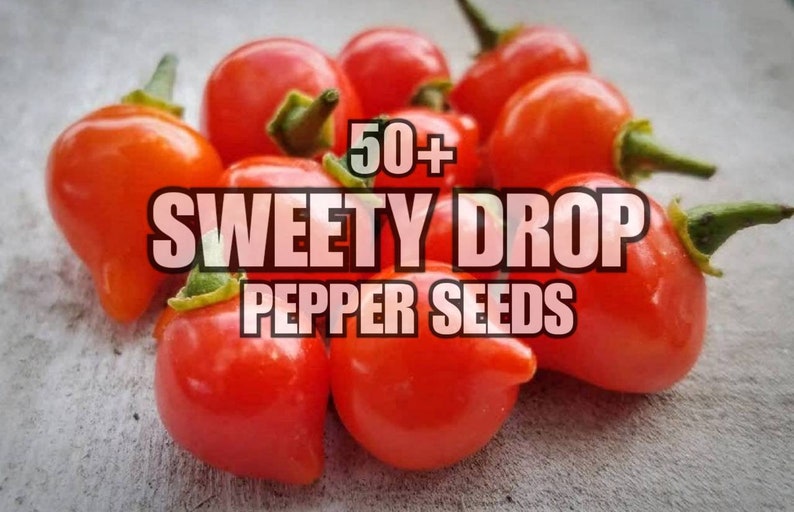 fresh sweety drop peppers fresh sweety drop peppers