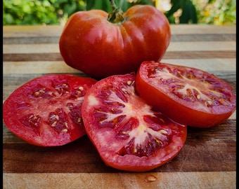 20 'Hawaiian Kewalo' Tomato Seeds Root Knot Nematode Resistant Heat Tolerant Florida Seeds Solanum lycopersicum Open Pollinated Florida seed