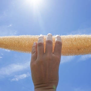 May include: A hand holds a natural loofah sponge against a bright blue sky with white clouds. The loofah is light brown and has a rough texture.