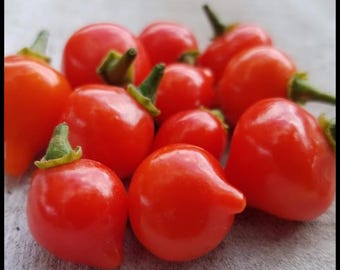 25 'Sweety Drop' Pepper Seeds, Heirloom Red Biquinho Seeds, Brazilian Pepper, Peruvian Pepper, Little Beak, Pearl Pepper, Capsicum chinense