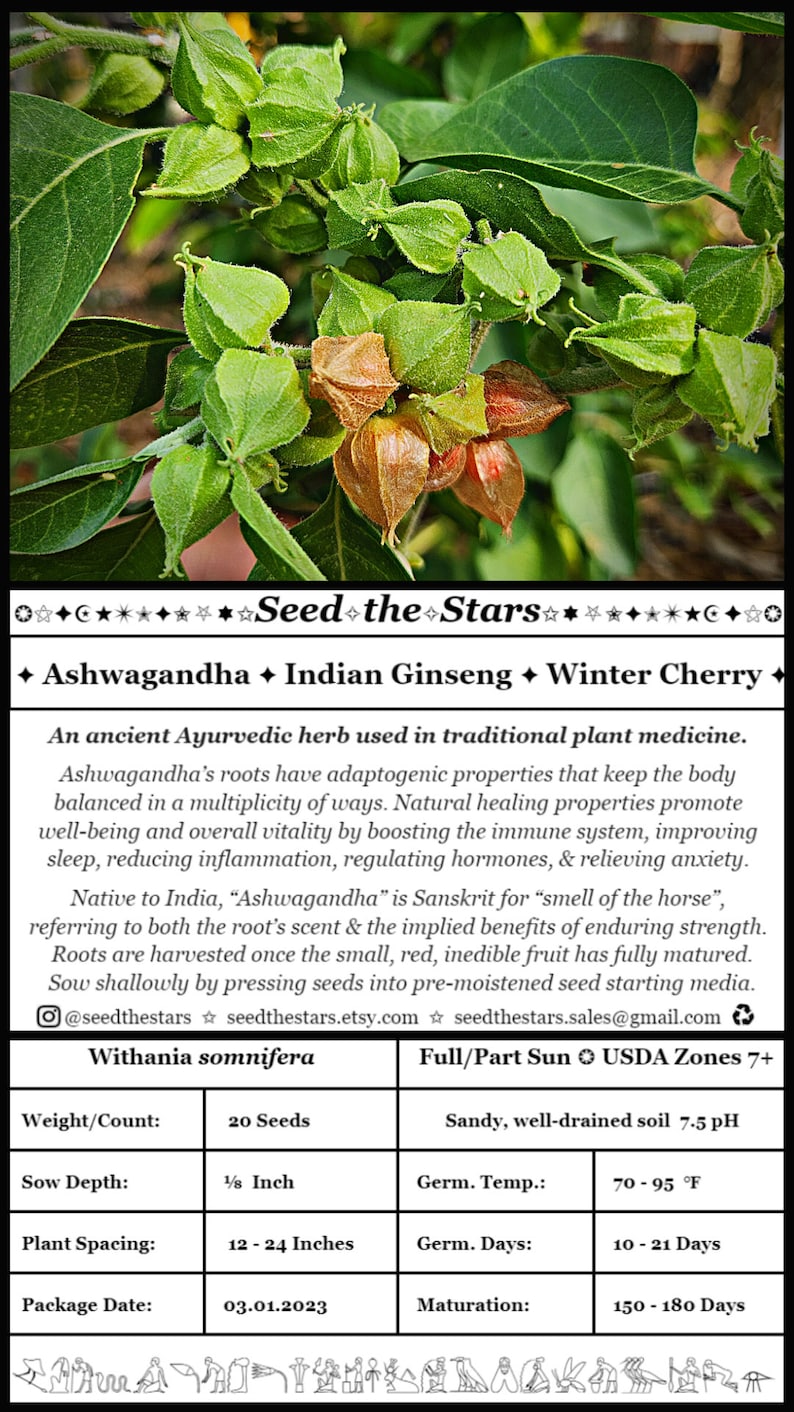 May include: A packet of 20 Withania somnifera seeds for planting. The packet includes information about the plant, including its growing conditions, germination time, and maturity time. The plant is also known as Ashwagandha, Indian Ginseng, and Winter Cherry.