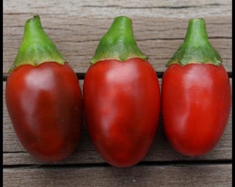 20 'Chiltepin' Pepper Seeds - "Mother of all Peppers" - Flea Pepper Seeds - Tepin Pepper Seeds - Bird Pepper - Capsicum annuum glabriusculum