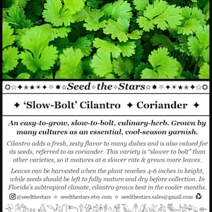 ✦ ‘Slow-Bolt’ Cilantro  ✦ Coriander  ✦

An easy-to-grow, slow-to-bolt, culinary-herb. Grown by many cultures as an essential, cool-season garnish. Cilantro adds a fresh, zesty flavor to many dishes and is also valued for its seeds - coriander.