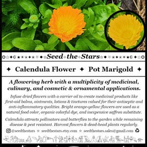 Find Seed Packets At: seedthestars.etsy.com 

20 Calendula Seeds, Pot Marigold, Calendula officinalis, Flowering Herb, Orange Flowers, Natural Food Color, Saffron, Seed The Stars Organic Seeds