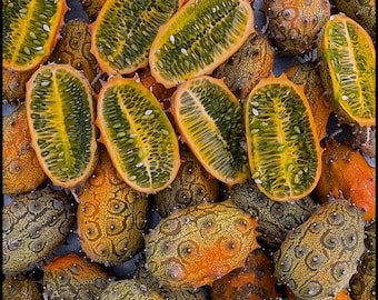 20 Jelly Melon Seeds, African Horned Cucumber, Kiwano, Cucumis metuliferus Rare Heirloom Fruit Seeds Heat Tolerant Vine Florida Permaculture