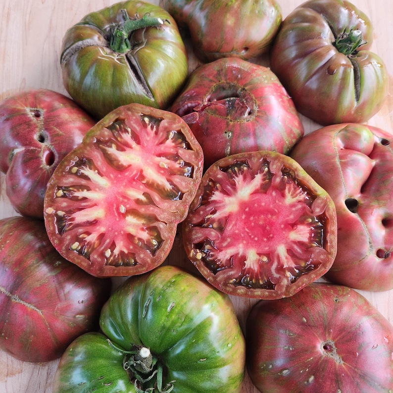 SeedTheStars Berkeley Tie-Dye Tomato Seeds