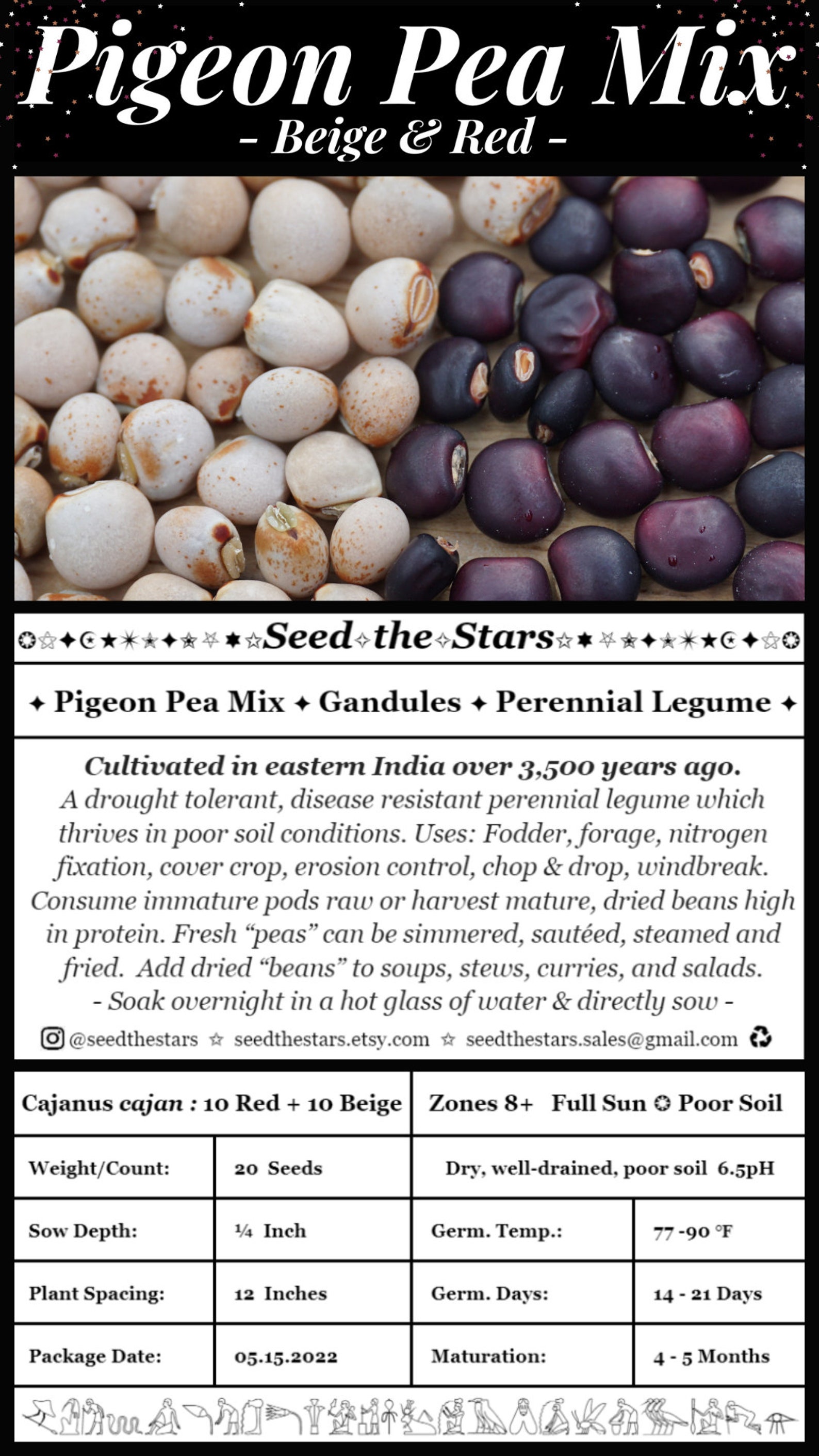 20 Pigeon Pea Seed Mix. Drought Tolerant Perennial Pea Perfect Etsy