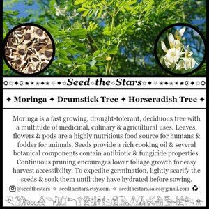 May include: Image of a Moringa tree with green leaves and white flowers, with inset images of seeds and flowers. The text "Seed the Stars" is displayed, along with details about the Moringa oleifera plant, including seed count, depth, and temperature.